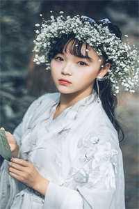 后宫太复杂