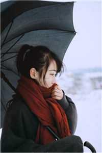 孤山指什么动物