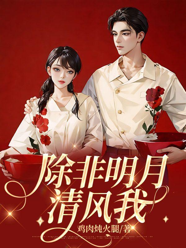 除非明月清风我是什么意思