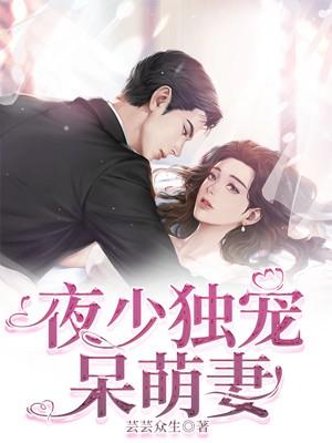 夜少的呆萌妻