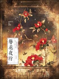 簪花夜行gI完整版