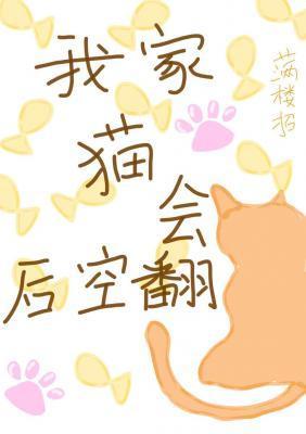 我家猫会后空翻怎么回复别人