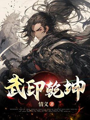 武印乾坤TXT正版