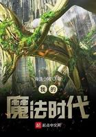 我的魔法时代是种马吗