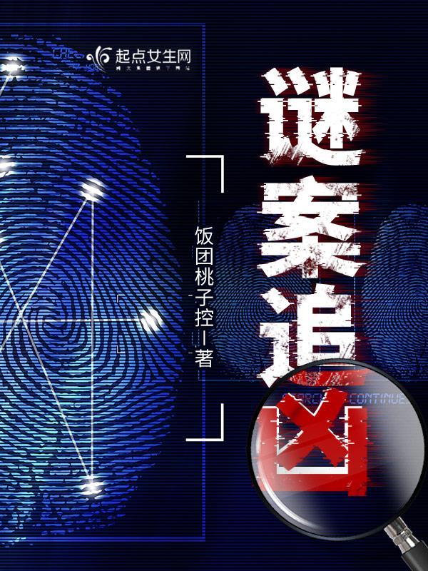 谜案追凶结局