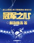 冠军之心足球