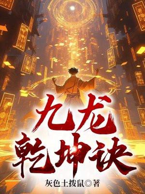 九龙乾坤诀等级划分