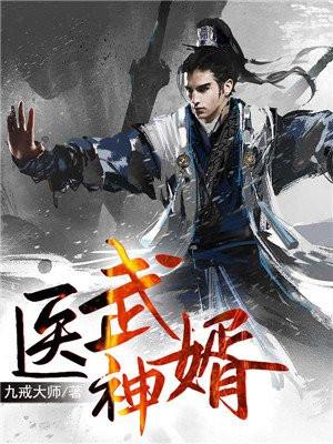 医武神婿叶辰第二季免费观看