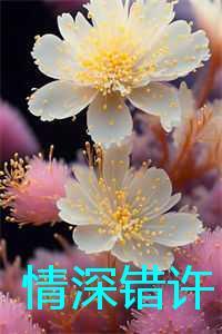 情深错许谢辞安芮芮陈妍结局