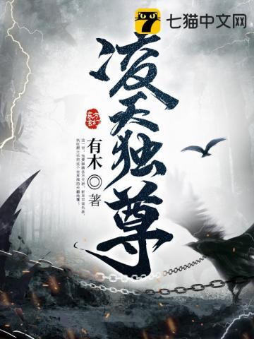 凌天独尊有木TXT免费