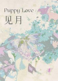见月博客
