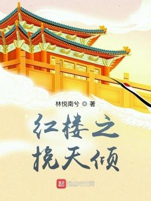 红楼梦之挽天倾免费阅读