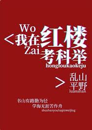 我在红楼考科举乱山平野