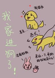 我家进狗了txt