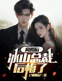 离婚后冰山总裁后悔了林凡乔宛颜