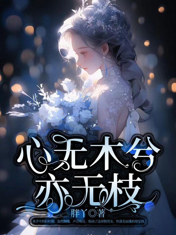 山有木兮那木有枝歌曲