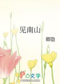 我见南山短剧在线观看