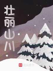 壮丽山川什么意思