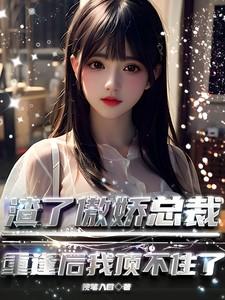 渣了总裁老公