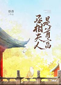 丞相夫人是首富讲的什么