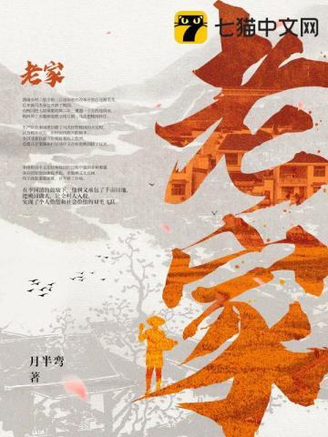 老家的情怀感言