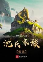 沈氏家族崛起第二部