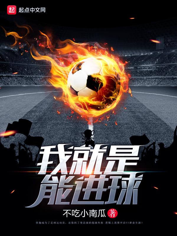 我就是能进球 笔趣阁