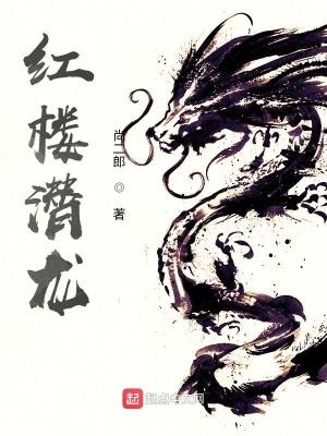 红楼潜龙贾璟身份