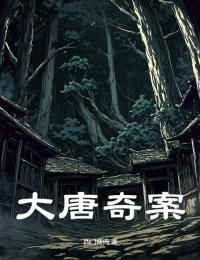 大唐奇案录2