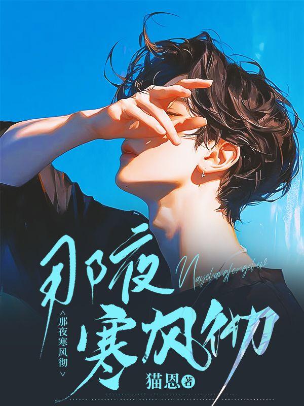 那夜寒风彻结局
