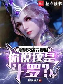 斗罗之开局魂力八十级彻夜诗人