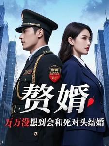 赘婿与女主