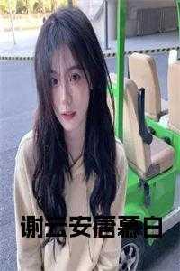 主角叫谢云霆的