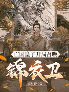 主角穿越皇子后被灭国