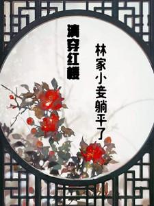 (清穿+红楼)林家小爷