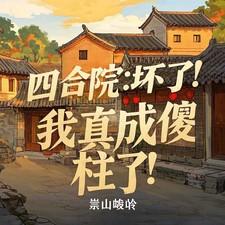 四合院 我成了傻柱