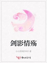 剑影情殇全文阅读