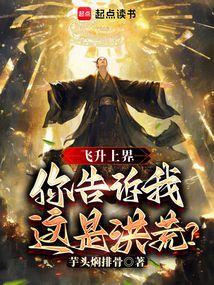 飞升上界