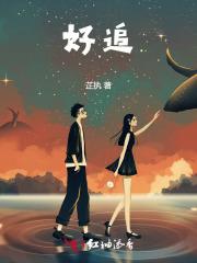 将军不好追