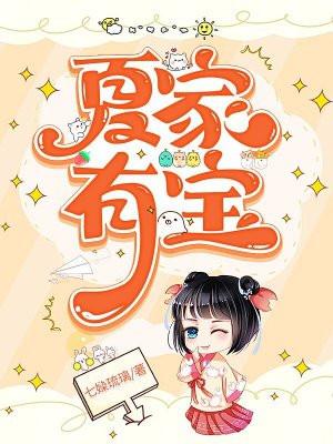 夏家有女之权御天下