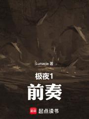 极夜hp