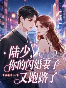 陆少闪婚新妻