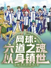 网球六道之魂以身镇世