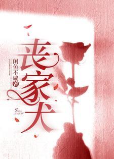 丧家犬拼音