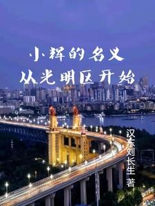 小辉的名义从光明区开始 汉东
