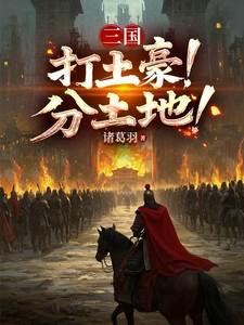 打土豪分田地背后的战略思想
