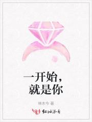 一开始就是你歌词