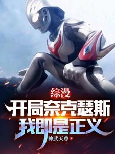 综漫开局奈克瑟斯我即是正义
