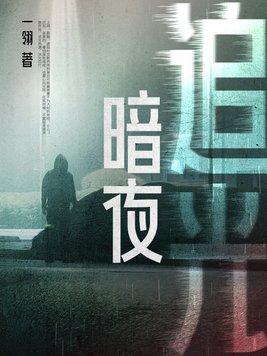 暗夜追光1—40集免费播放