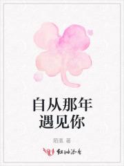 自从那年遇见你是哪首歌